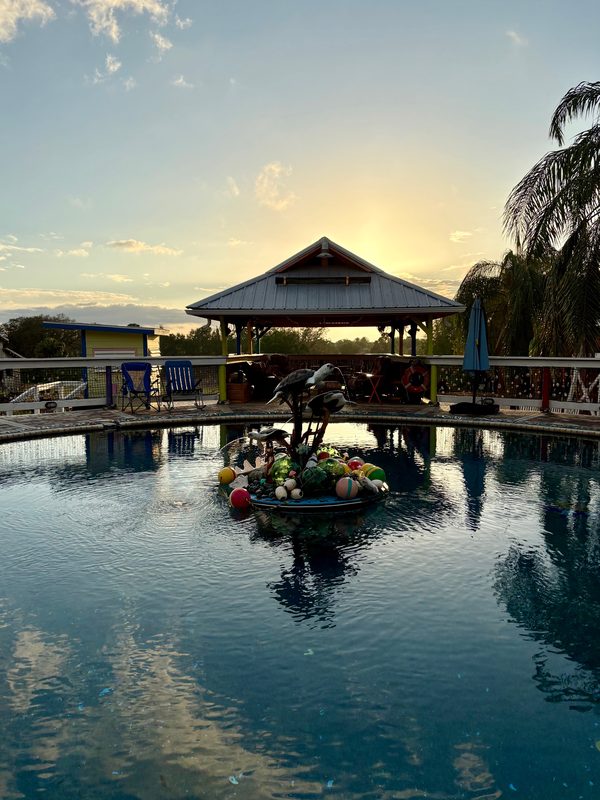 Saltwater pool at sunset with dolphin fountain
